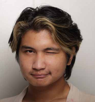 Aesir Emmanuel M. Armendilla